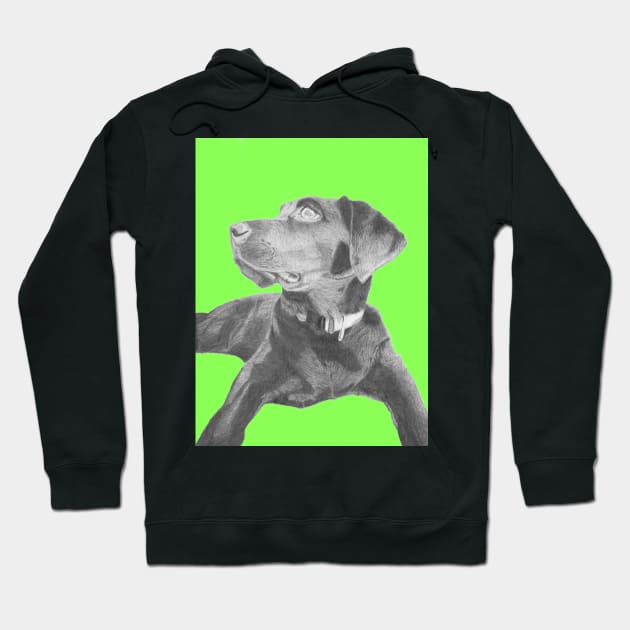 Black Labrador Retriever in Green Hoodie by DavidASmith